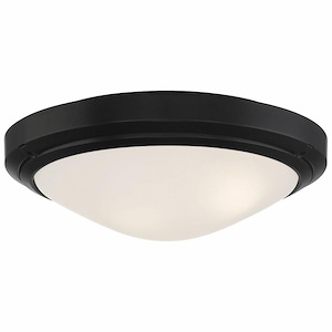 Oceanus - 40W 2 LED Outdoor Flush Mount In Transitional Style-5.5 Inches Tall and 15.75 Inches Wide