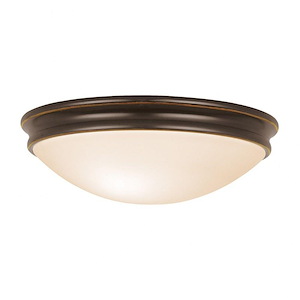 Atom-Flush Mount-12.5 Inches Wide by 3.5 Inches Tall