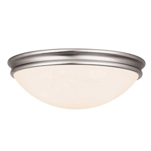 Atom-Flush Mount-14 Inches Wide by 4 Inches Tall