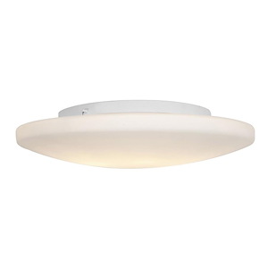 Orion-Flush Mount-19 Inches Wide by 4.5 Inches Tall - 758557