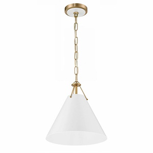 Xavier - 1 Light Pendant - 1033826