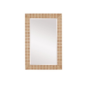 Dezi - Rectangular Mirror-36 Inches Tall and 23.75 Inches Wide - 1348120