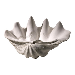 21 Inch Clam shell Bowl