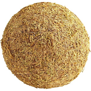 Extra Large st. Augustine Filler - 10 Inches Wide