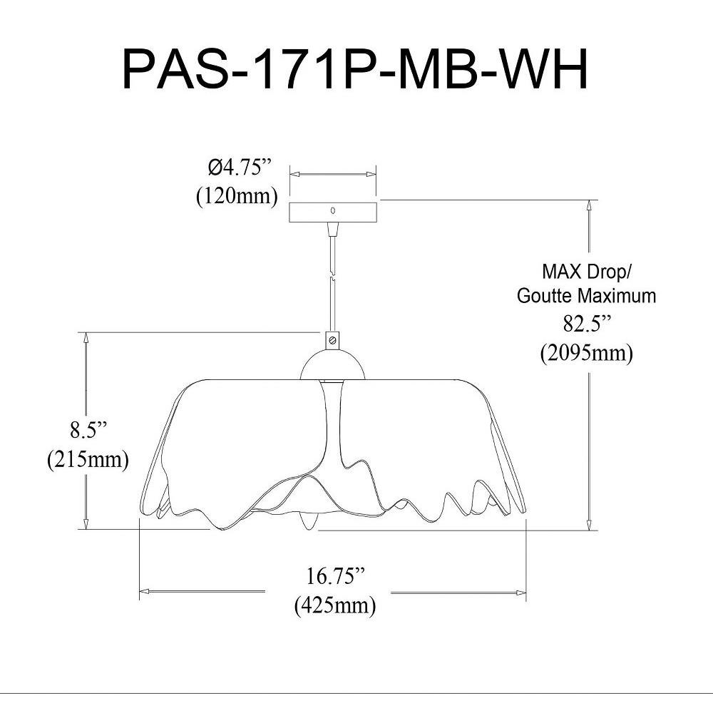 PAS-171P-MB-WH