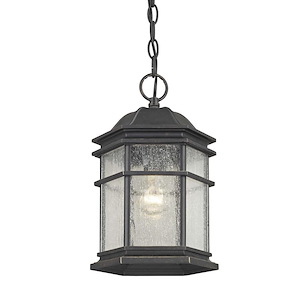 Barlow 1-Light Outdoor Hanging Lantern