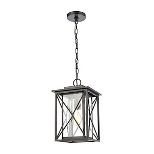Carriage Light - 1 Light Outdoor Hanging Lantern in Traditional Style with Country and Rustic inspirations - 15 Inches tall and 9 inches wide