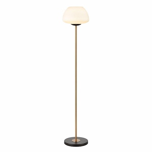 Ali Grove - 1 Light Floor Lamp In Modern and Contemporary Style-62 Inches Tall and 12 Inches Wide