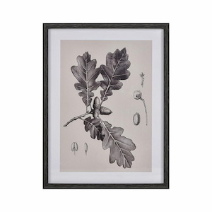 Oak II Botanic - Framed Wall Art In Transitional Style-24 Inches Tall and 18 Inches Wide