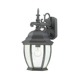 Covington - One Light Outdoor Wall Lantern