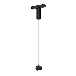 Continuum Track - 5W 1 LED Sphere Pendant-2.25 Inches Tall and 2 Inches Wide - 1342837