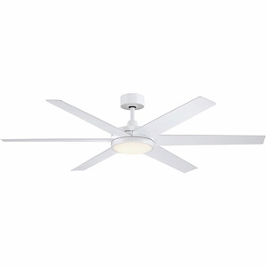 Brawn - 6 Blade Indoor/Outdoor Ceiling Fan with Light Kit-14.6 Inches Tall and 64 Inches Wide