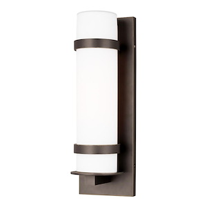 Alban-1 Light Medium Outdoor Wall Lantern - 1066881