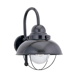 Sea Gull Lighting-One Light Outdoor Wall Fixture 02 in Transitional Style-11.25 Inch wide by 15.75 Inch high - 12689