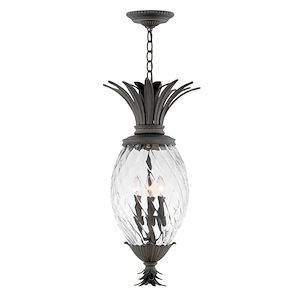 Plantation - 4 Light Medium Outdoor Hanging Lantern in Traditional-Glam Style - 12.5 Inches Wide by 28.5 Inches High - 758991