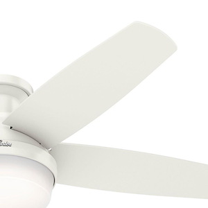 Product Thumbnail 7