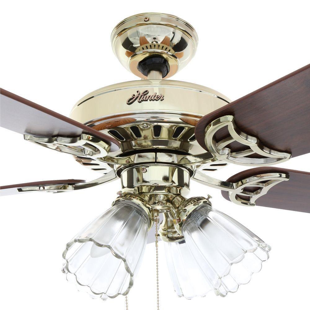 Hunter 4 Light Bright Brass Ceiling Fan Kit | Shelly Lighting