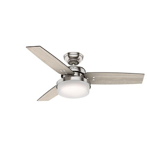 Sentinel 44 Inch Ceiling Fan with LED Light Kit and Handheld Remote - 1012672