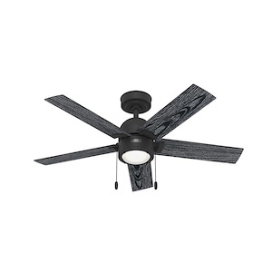 Erling - 5 Blade Ceiling Fan with Light Kit In Modern Style-14.04 Inches Tall and 44 Inches Wide