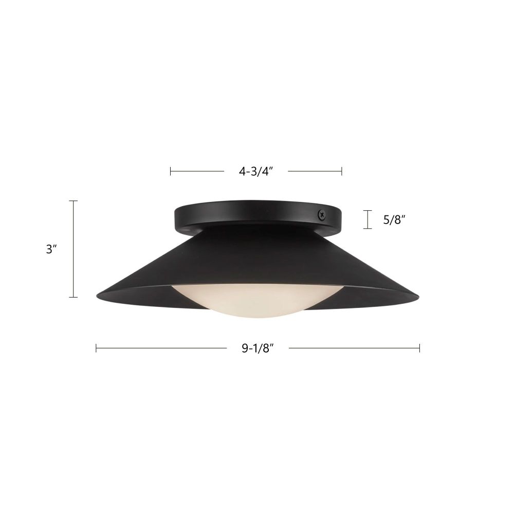 WS77909-BG/OP