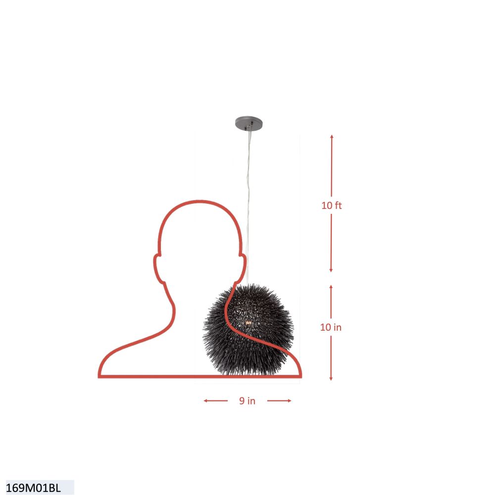 169M01BL