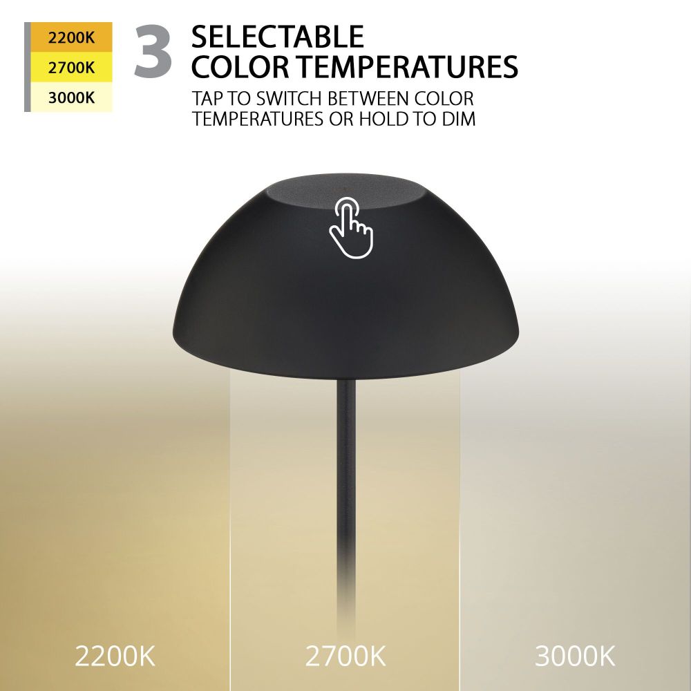 2470-BEL-5302849