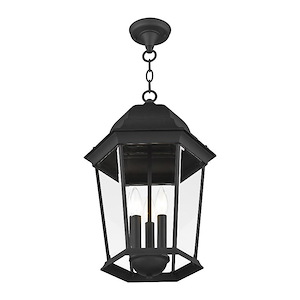 Livex Lighting - 7564-14 - Hamilton - 3 Light Outdoor Pendant