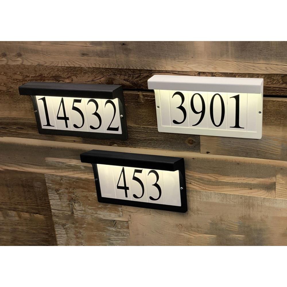 53620WT