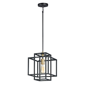 Liner-One Light Pendant-9.75 Inches wide by 13 inches high - 819438