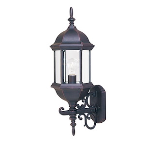 Cast-1 Light Outdoor Wall Lantern in Early American style-8 Inches wide by 22 inches high