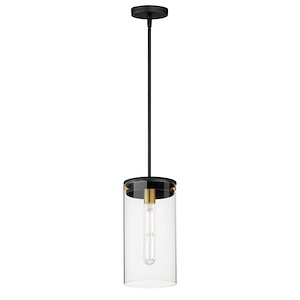 Pinn - 1 Light Pendant-14 Inches Tall and 8 Inches Wide - 1265841