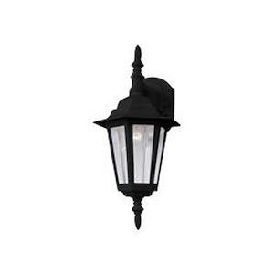 Cast-1 Light Outdoor Wall Lantern in Early American style-8 Inches wide by 17 inches high - 1027524