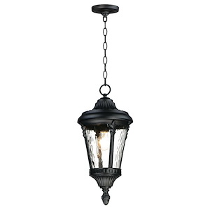 Sentry-One Light Outdoor Hanging Lantern-9 Inches wide by 19.75 inches high