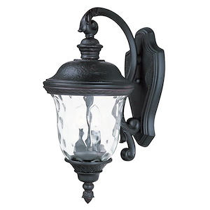 Carriage House-DC-2 Light Outdoor Wall Lantern in Early American style-9 Inches wide by 20 inches high - 1213841