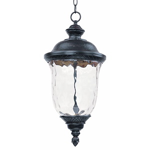 Carriage House - 25 Inch 12W 1 LED Outdoor Hanging Lantern - 514067