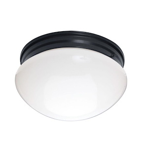 Essentials - 588x - 2 Light Flush Mount - 1024588
