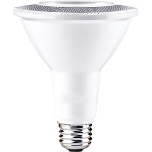 Accessory - 10W PAR30 LED Replacement Lamp
