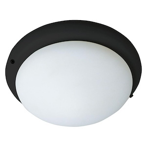 Accessory - 1 Light Ceiling Fan Light Kit