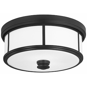 Harbour Point - 2 Light Flush Mount in Transitional Style - 6.5 inches tall by 13.5 inches wide - 539204