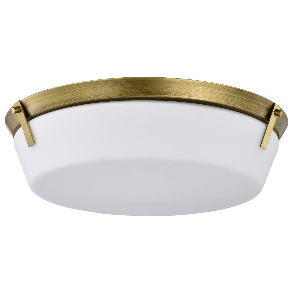 Nuvo lighting flush deals mount