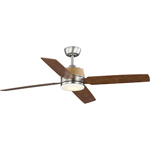 Shaffer II - 4 Blade Ceiling Fan with Light Kit In Coastal Style-15.5 Inches Tall and 56 Inches Wide