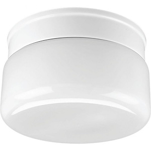 White Glass - 5 Inch Height - Close-to-Ceiling Light - 2 Light - Line Voltage - 6610