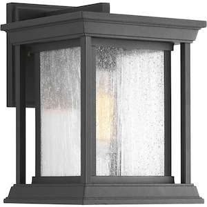Endicott - 10.5 Inch Height - Outdoor Light - 1 Light - Line Voltage - Wet Rated - 495758