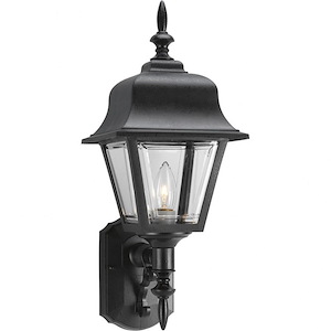 Non-Metallic Incandescent - Outdoor Light - 1 Light in Traditional style - 8 Inches wide by 20 Inches high