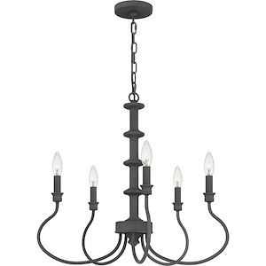 Adela - 5 Light Chandelier In Transitional Style-22 Inches Tall and 24 Inches Wide