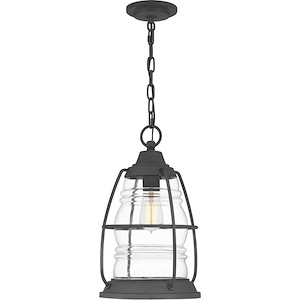 Admiral - 1 Light Outdoor Hanging Lantern - 16.5 Inches high made with Coastal Armour
