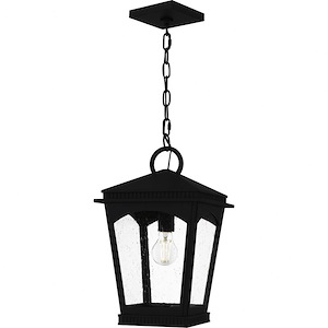 Huck - 1 Light Outdoor Hanging Lantern-17.5 Inch Tall and 10 Inch Wide - 1363565