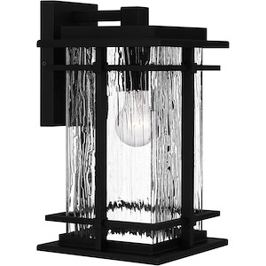 McAlister - 1 Light Outdoor Wall Lantern In Transitional Style-14 Inches Tall and 7.75 Inches Wide made with Coastal Armour - 1333849