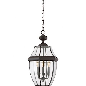 Newbury - 3 Light Large Hanging Lantern - 53185