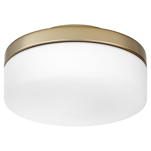 Accessory - 18W 1 LED Ceiling Fan Light Kit-4 Inches Tall and 8.13 Inches Wide